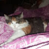 bethany_makris